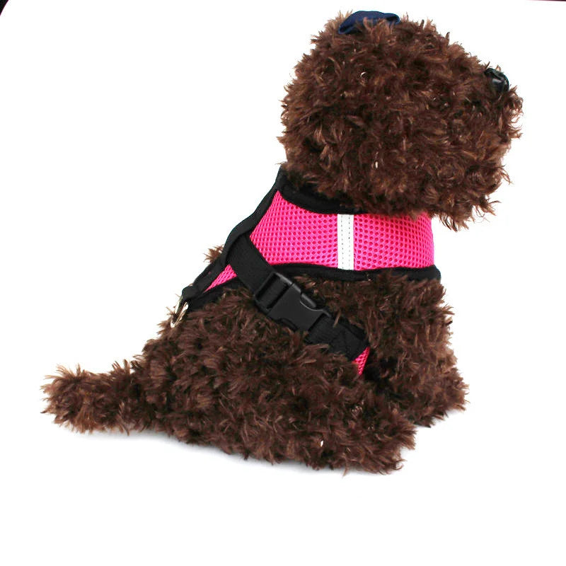 Cat Dog Harness Adjustable